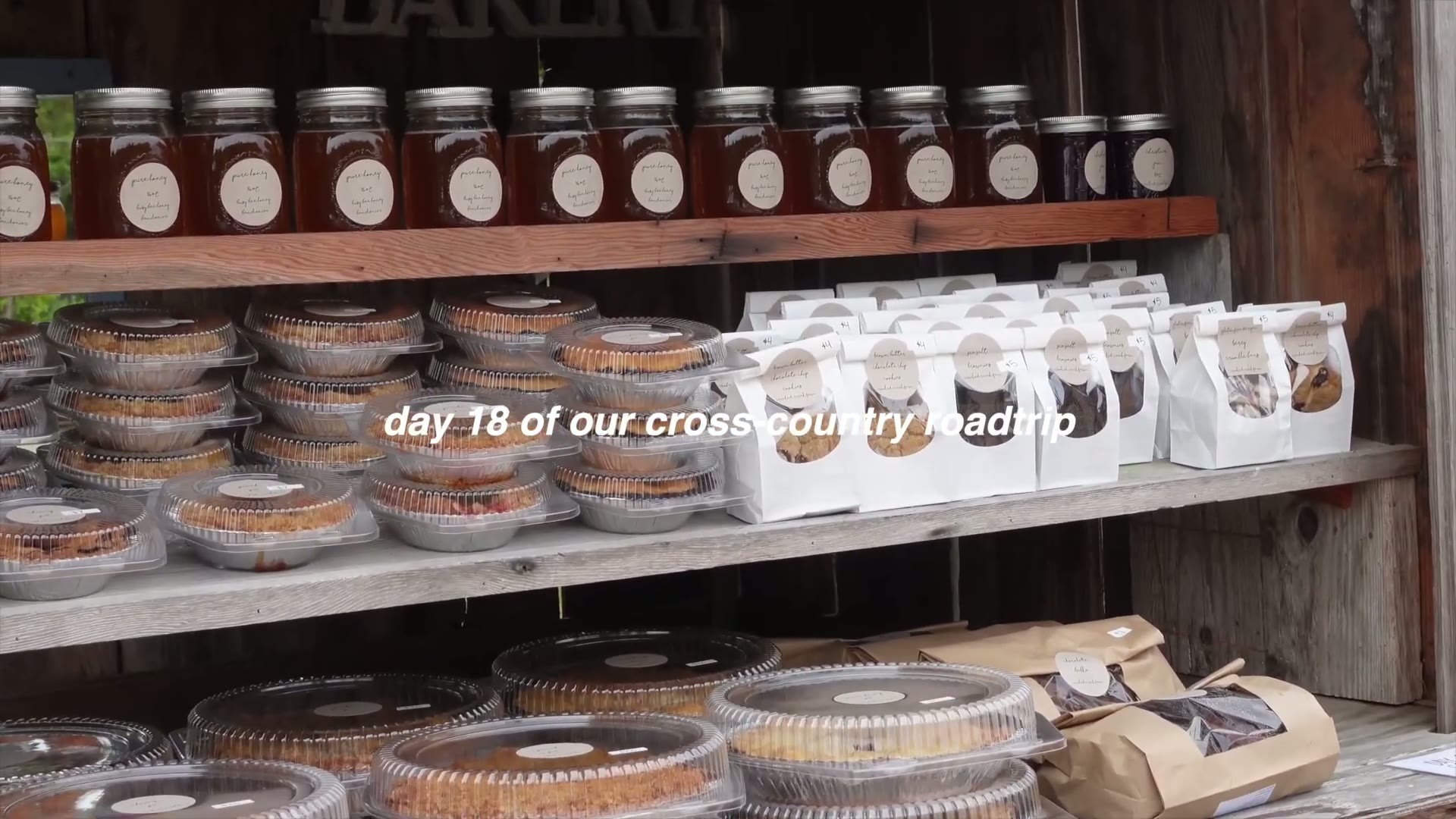 Summer Roadtrip Vlog